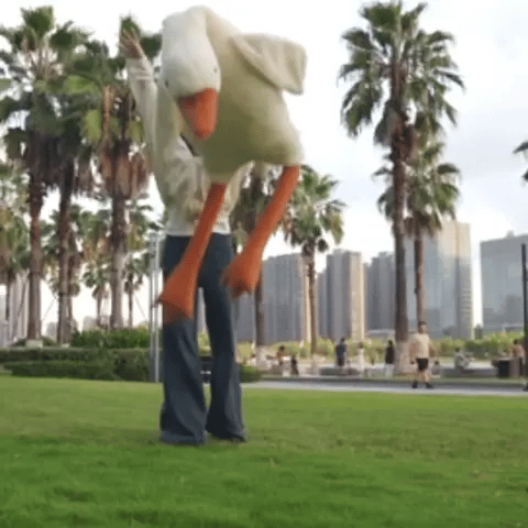 Fluffy Goose Buddy